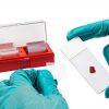 GLOBE SCIENTIFIC Glass Cover Slips 22x22mm Microscope Slides-6