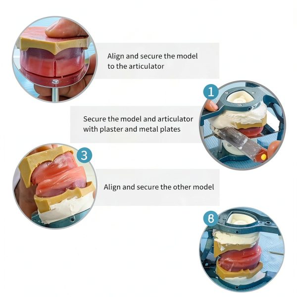 A-H Dental Magnetic Articulator Aluminum Alloy Lab Tool-2