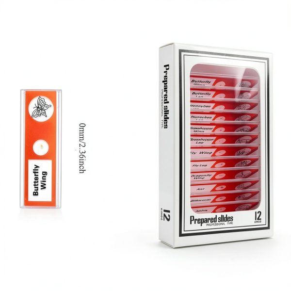 Cainda Prepared Microscope Slides Plastic Safe for Kids-4