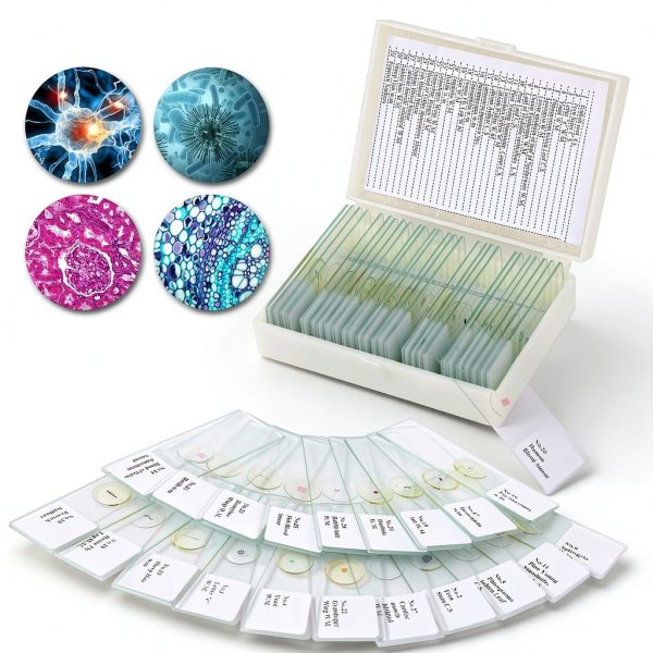 OOZSTAR Microscope Slides Glass Specimens for Education-0